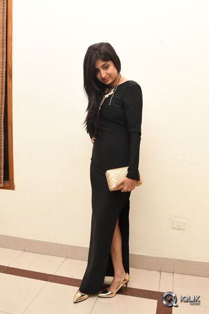 Poonam-Kaur-At-Thikka-Movie-Audio-Launch